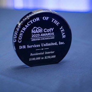 DR-Services-Trophy-for-Residential-Interior-100K-250K