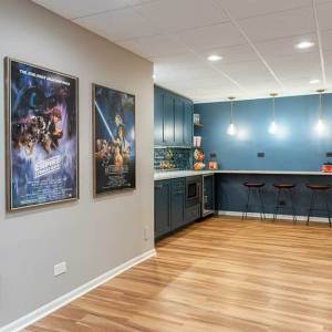 14-Basement-100K-250K-BDS-Design